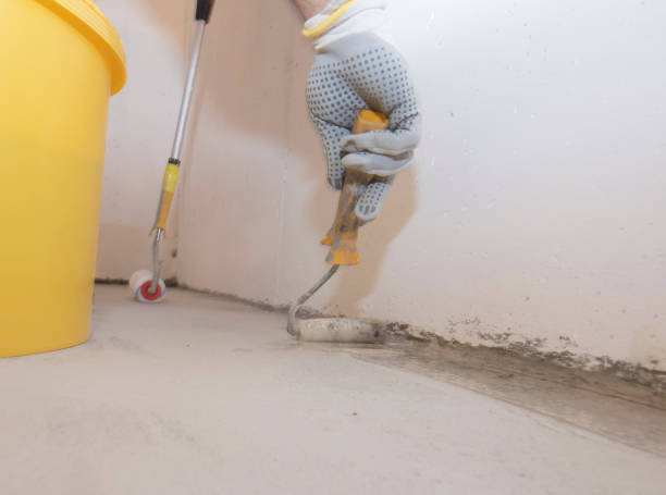 Best Pest Exclusion Services  in Essex, MD